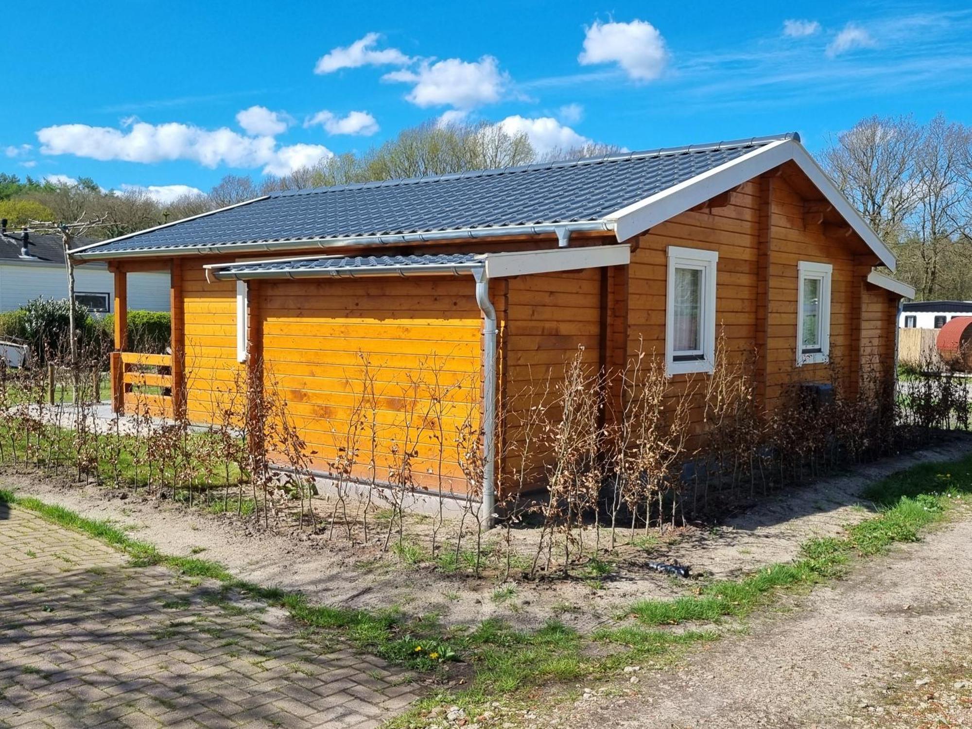 Nieuw - Luxe Blokhut Chalet In Bosrijke Omgeving Anloo Экстерьер фото