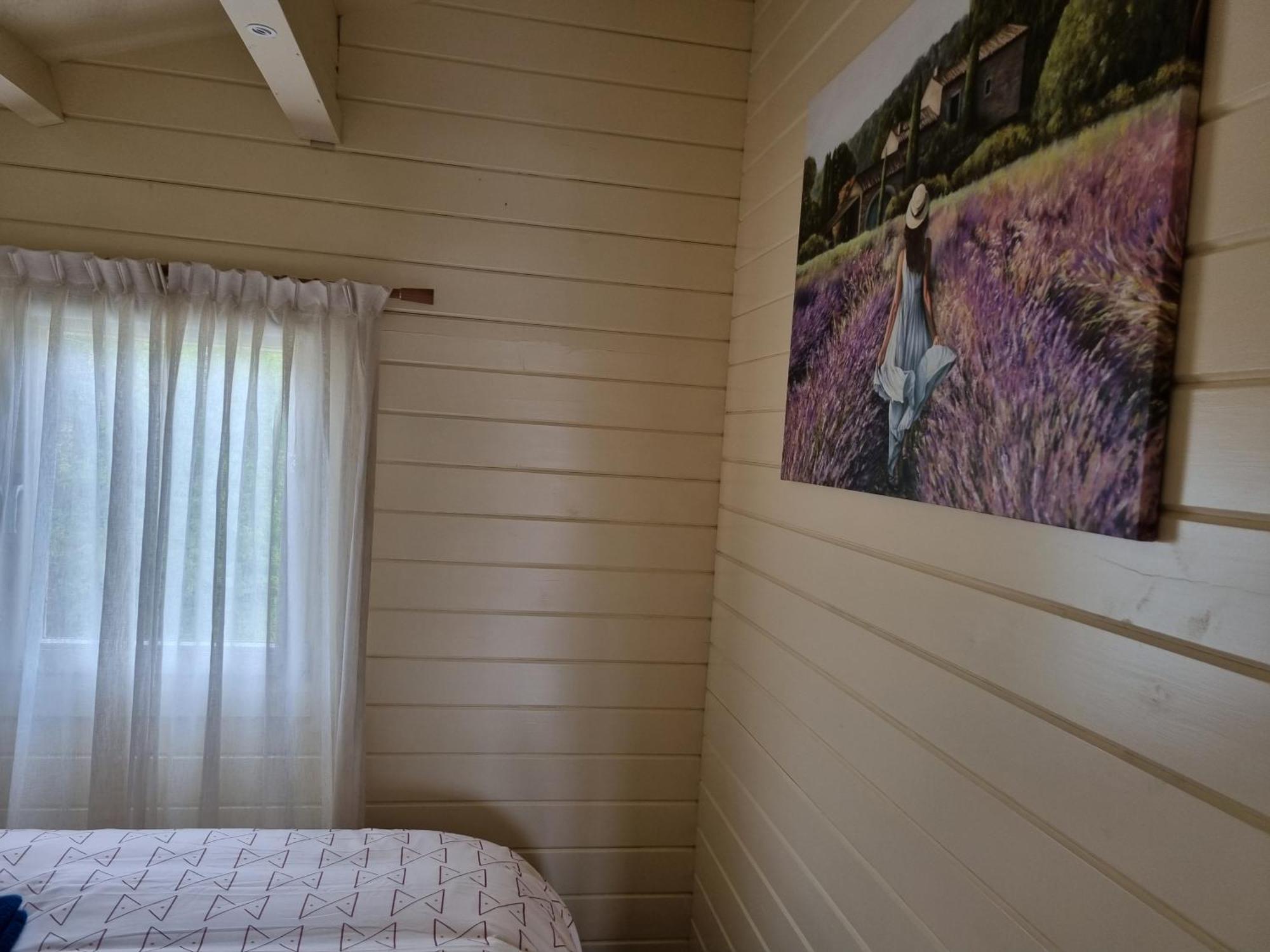 Nieuw - Luxe Blokhut Chalet In Bosrijke Omgeving Anloo Экстерьер фото